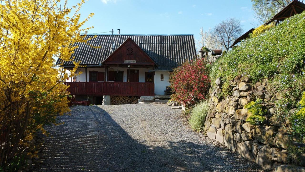 Villa Meselak Ocna de Sus Exterior foto